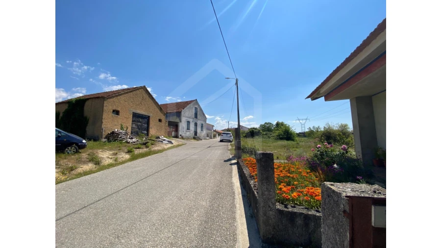 Terreno Agricola ou Rústico para Venda em Amoreira da Gândara, Paredes do Bairro e Ancas Foto 8