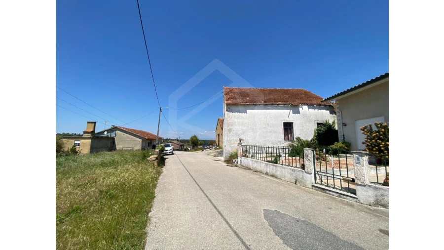 Terreno Agricola ou Rústico para Venda em Amoreira da Gândara, Paredes do Bairro e Ancas Foto 9