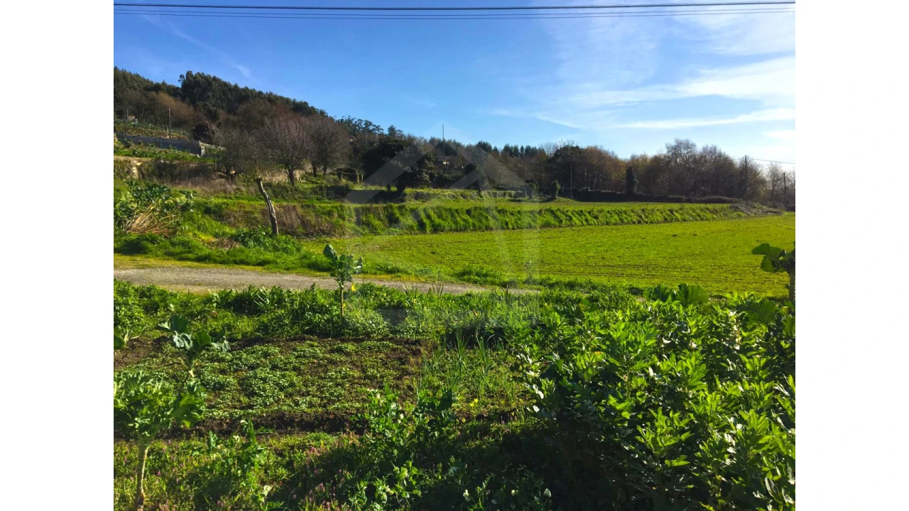 Terreno para Venda em Branca Foto 1