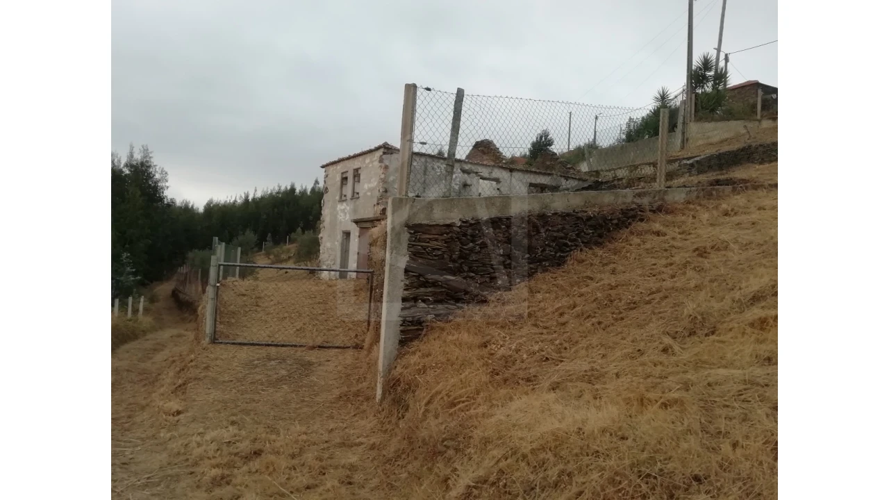 Terreno para Venda em Raiva, Pedorido e Paraíso Foto 4