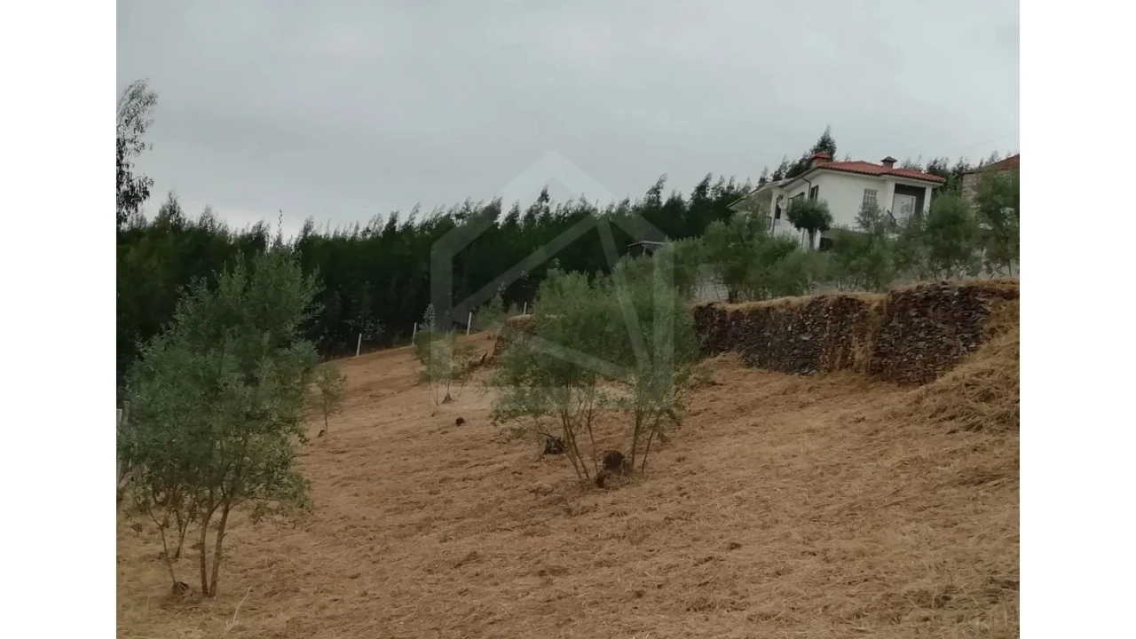 Terreno para Venda em Raiva, Pedorido e Paraíso Foto 8