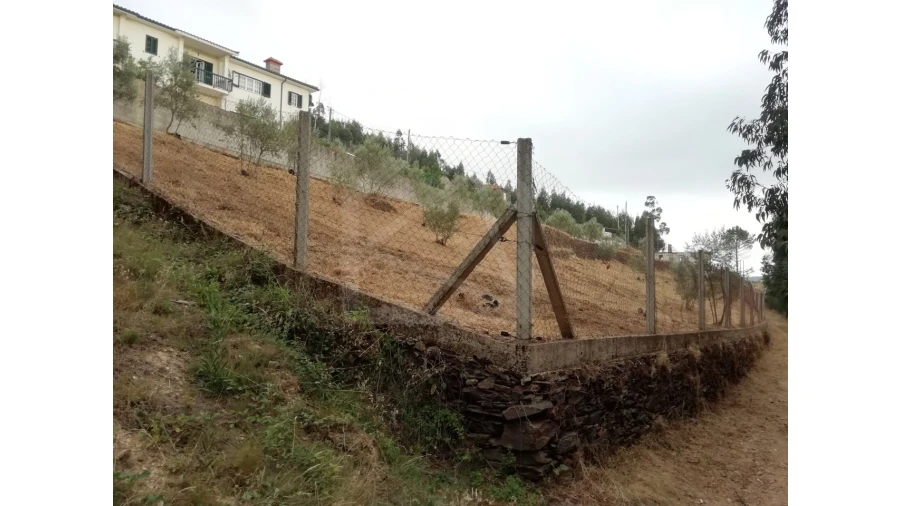 Terreno para Venda em Raiva, Pedorido e Paraíso Foto 3