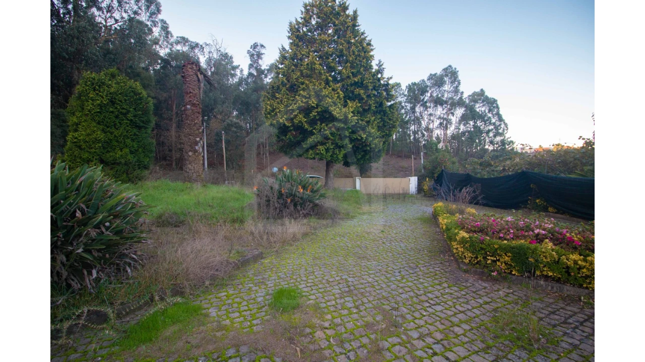 Moradia T4 para Venda em Canedo, Vale e Vila Maior Foto 76