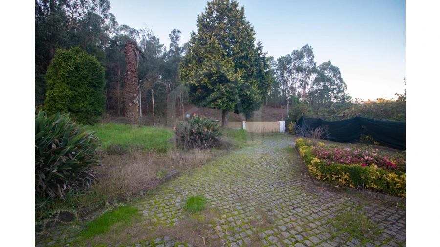 Moradia T4 para Venda em Canedo, Vale e Vila Maior Foto 76