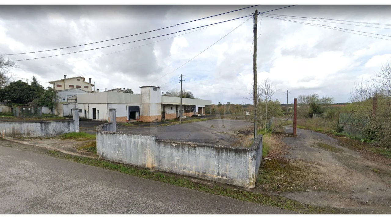 Armazém para Venda em Avelãs de Cima Foto 4