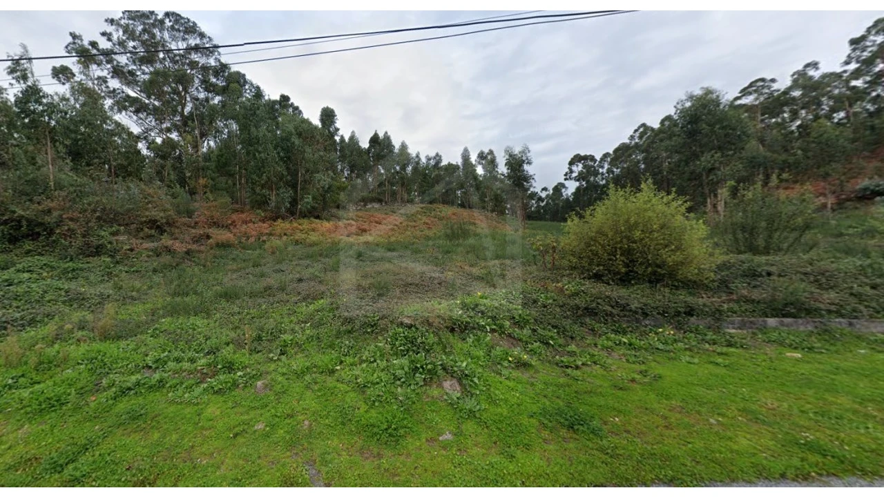 Terreno para Venda em Cesar Foto 4
