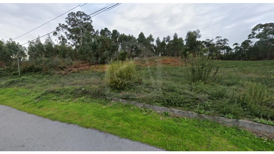 Terreno para Venda em Cesar