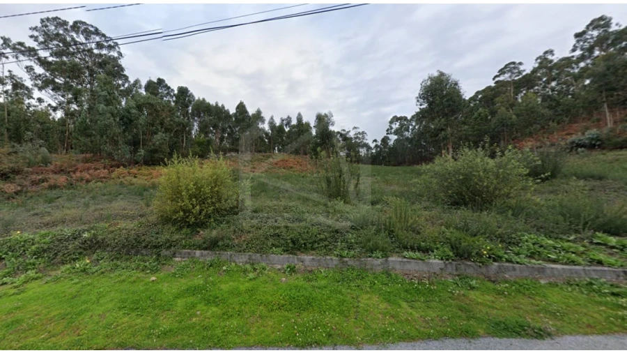 Terreno para Venda em Cesar Foto 3