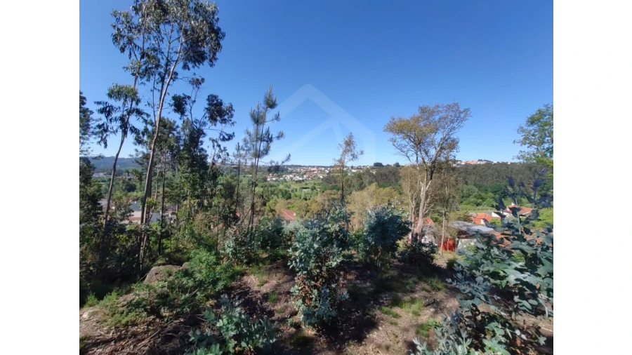 Terreno para Venda em Sanguedo Foto 2