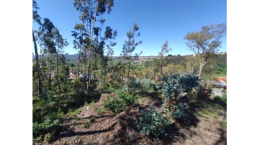Terreno para Venda em Sanguedo Foto 4