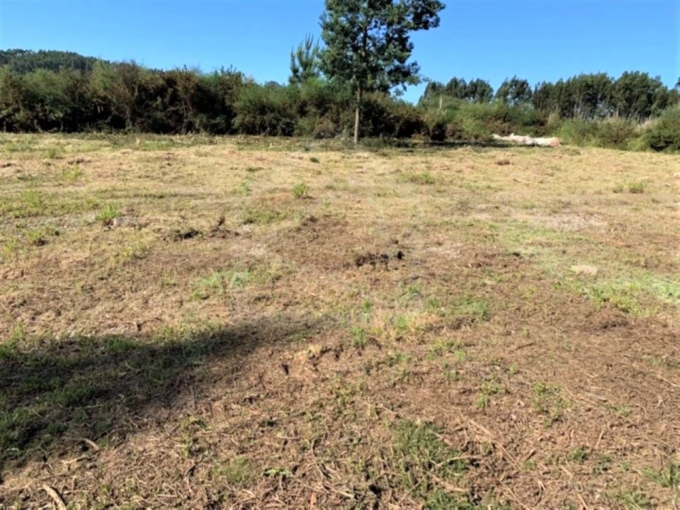Terreno para Venda em Sandim, Olival, Lever e Crestuma Foto 2