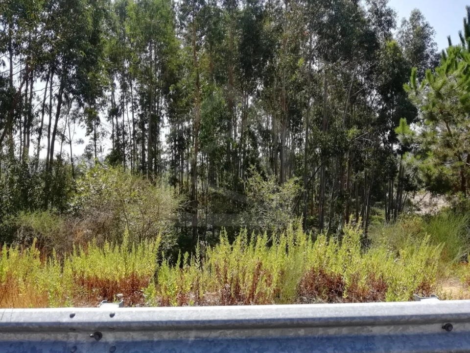 Terreno para Venda em Sandim, Olival, Lever e Crestuma Foto 3