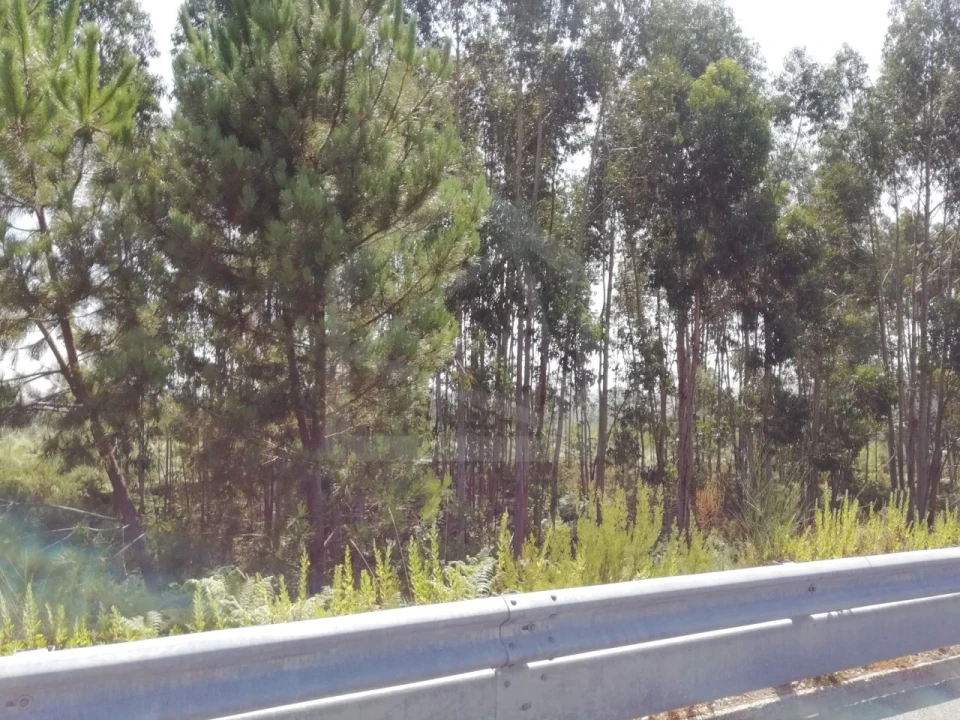Terreno para Venda em Sandim, Olival, Lever e Crestuma Foto 6