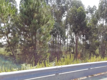 Terreno para Venda em Sandim, Olival, Lever e Crestuma