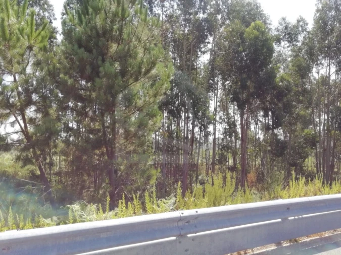 Terreno para Venda em Sandim, Olival, Lever e Crestuma Foto 6