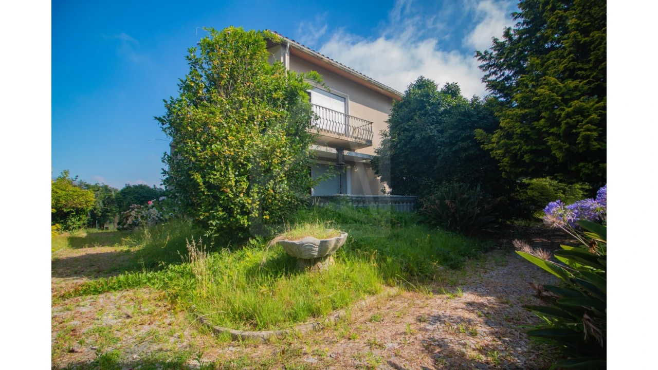 Quinta T7 para Venda em Arrifana Foto 73