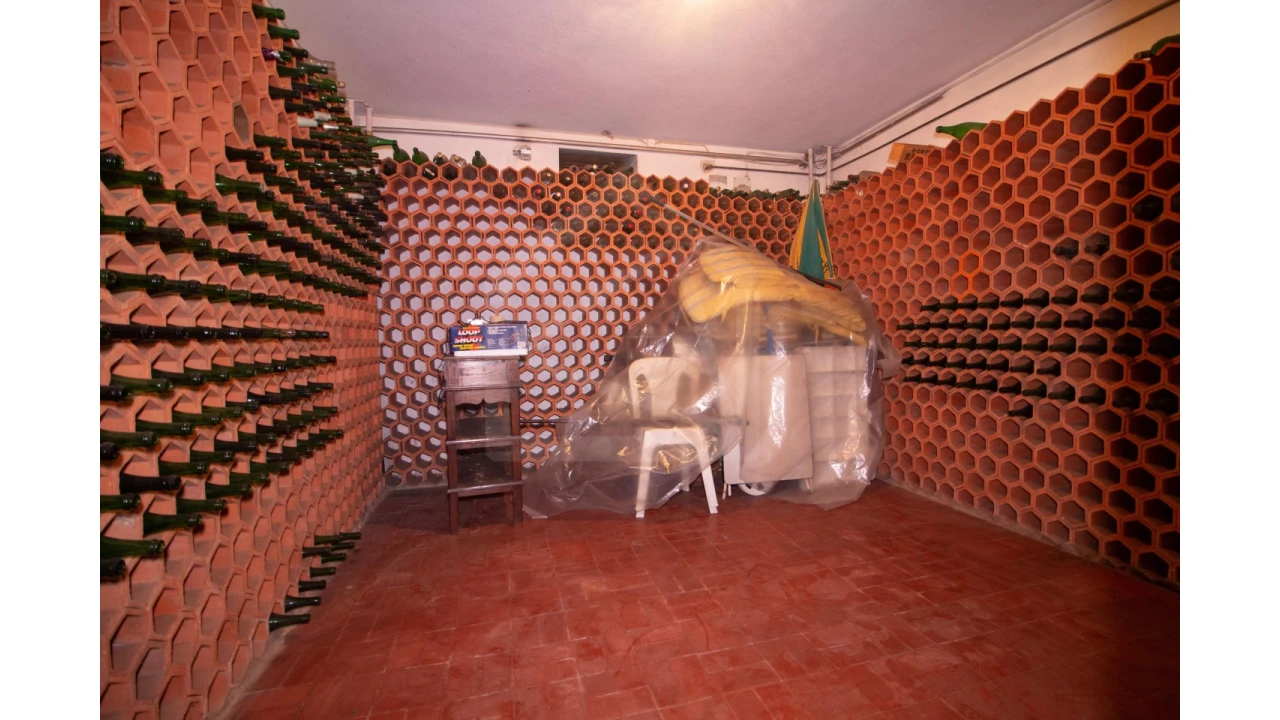 Quinta T7 para Venda em Arrifana Foto 77