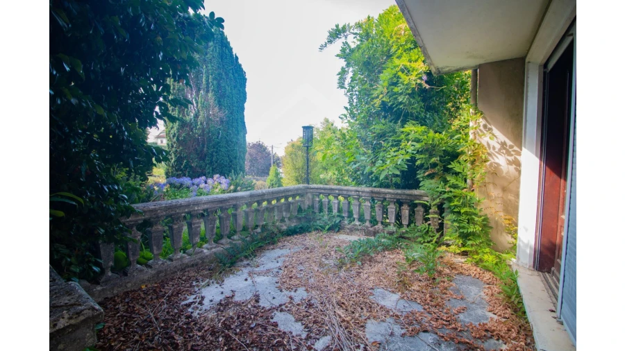 Quinta T7 para Venda em Arrifana Foto 57