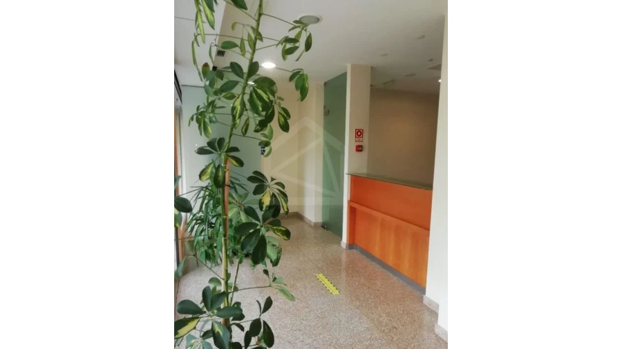 Loja para Arrendamento em Lordelo do Ouro e Massarelos Foto 2