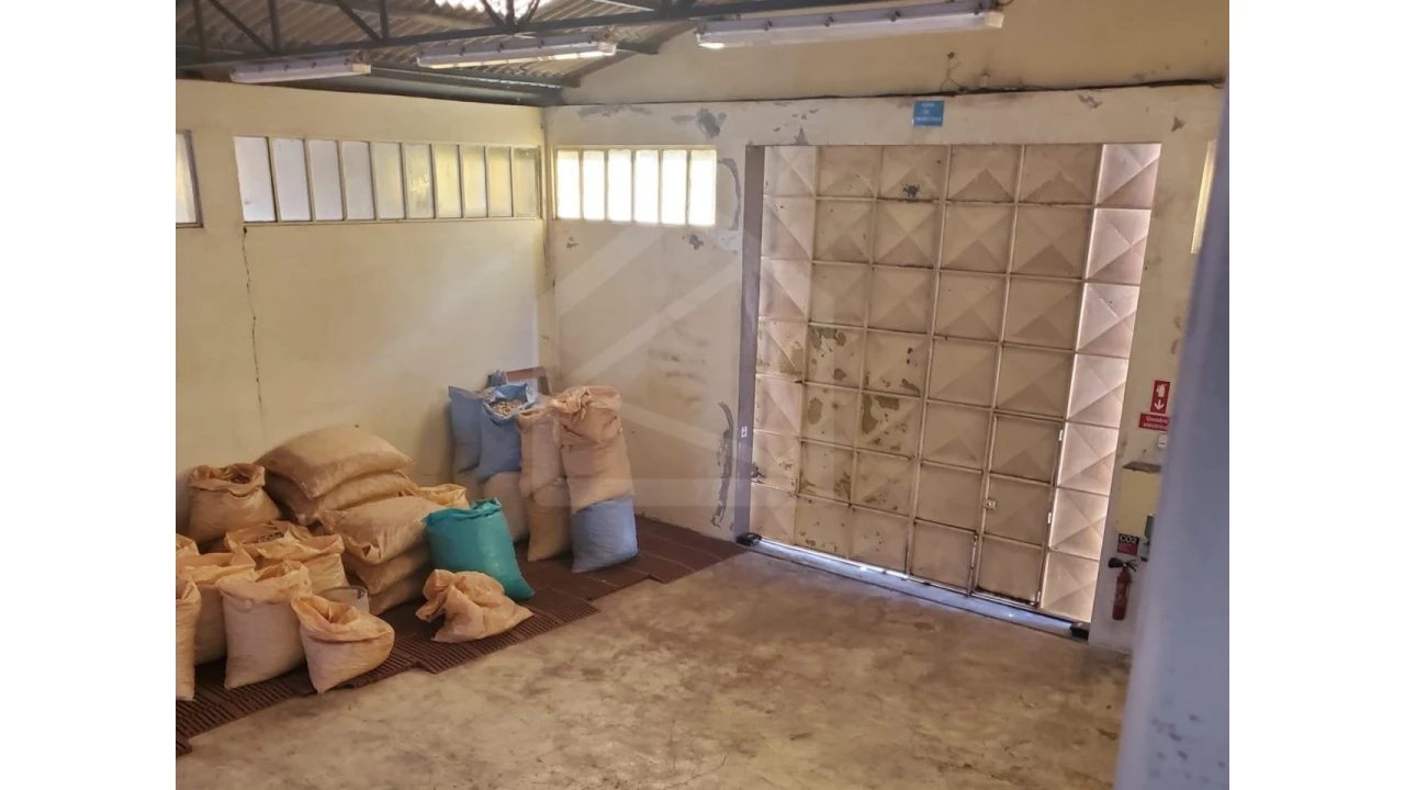 Armazém para Arrendamento em Lourosa Foto 4