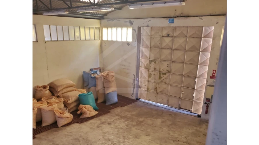 Armazém para Arrendamento em Lourosa Foto 4