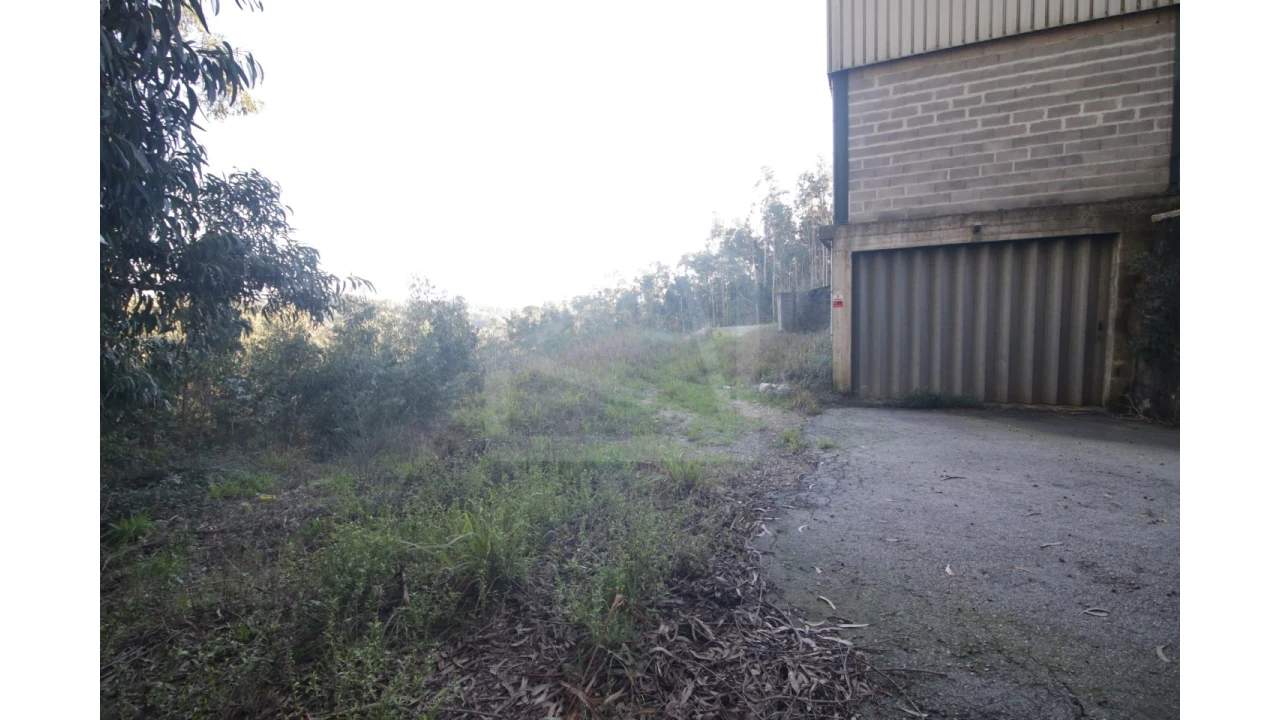 Armazém para Venda em Sever do Vouga Foto 9