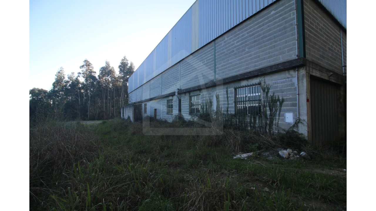 Armazém para Venda em Sever do Vouga Foto 2
