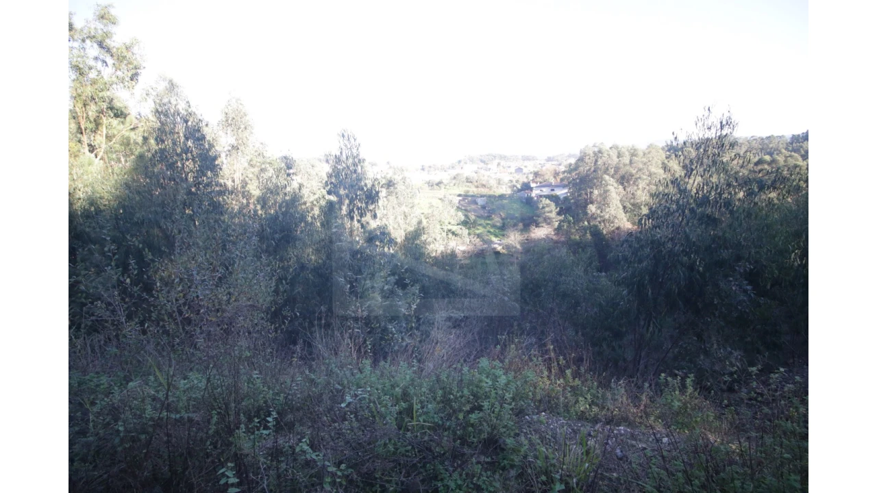 Armazém para Venda em Sever do Vouga Foto 11