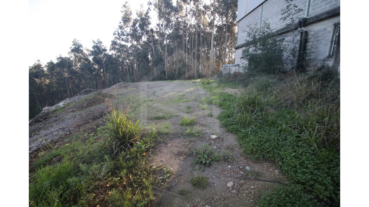 Armazém para Venda em Sever do Vouga Foto 5