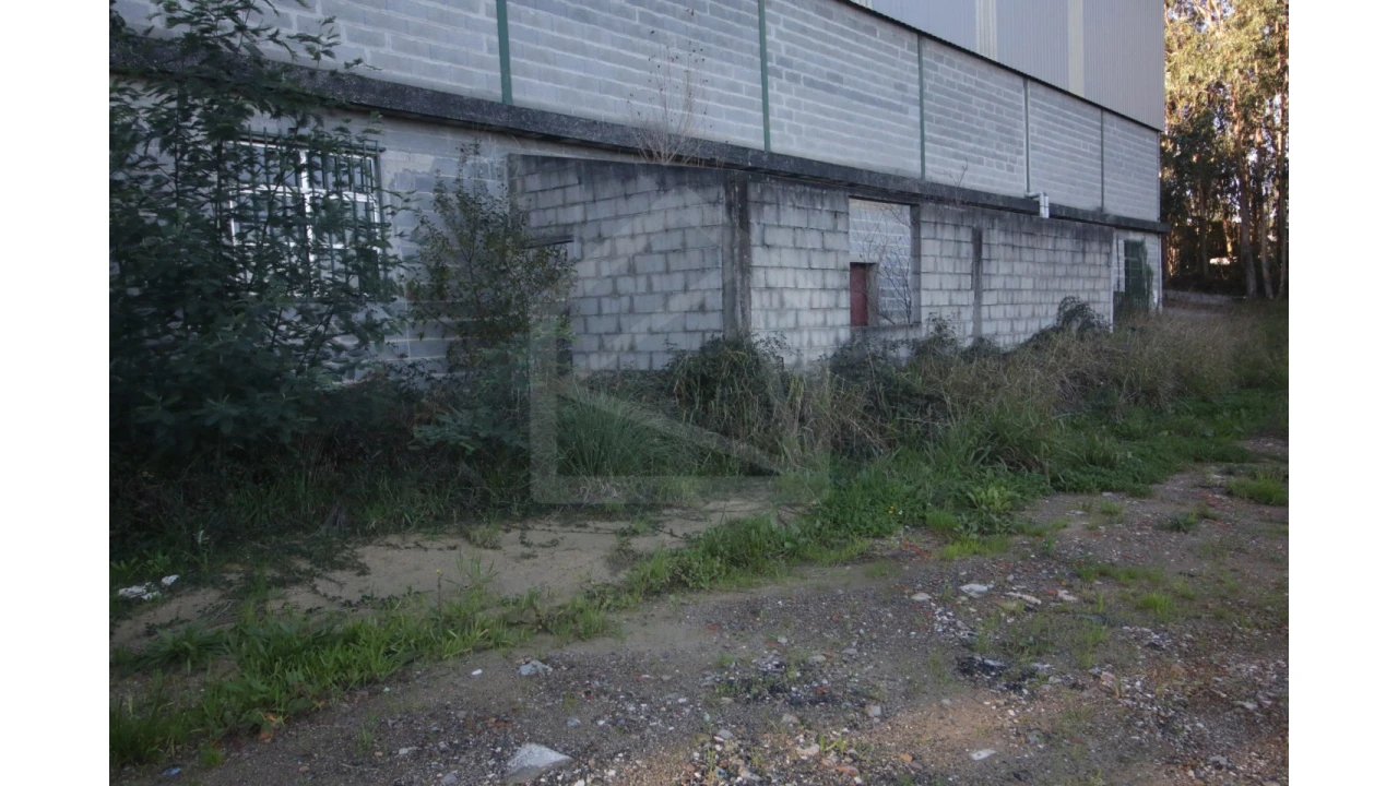Armazém para Venda em Sever do Vouga Foto 3