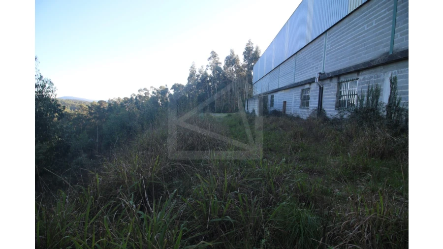 Armazém para Venda em Sever do Vouga Foto 10