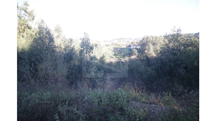 Armazém para Venda em Sever do Vouga Foto 11