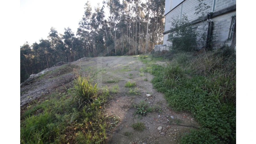 Armazém para Venda em Sever do Vouga Foto 5