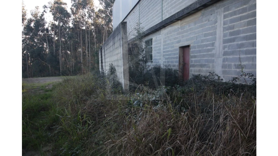 Armazém para Venda em Sever do Vouga Foto 4