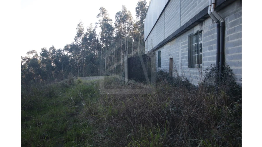 Armazém para Venda em Sever do Vouga Foto 6