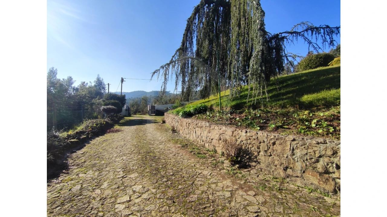 Moradia T3 para Venda em Ossela Foto 49