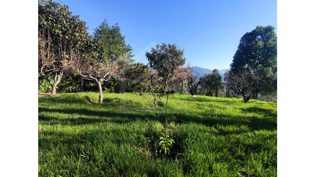 Moradia T3 para Venda em Ossela Foto 58