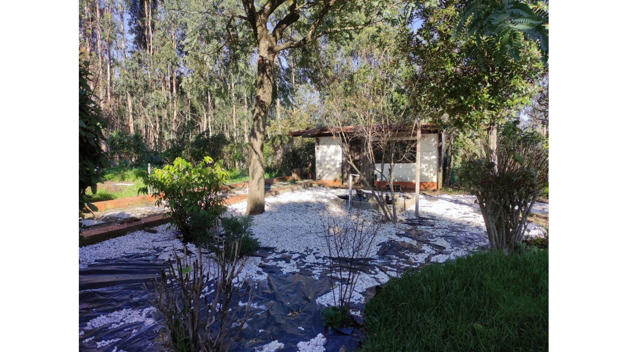 Moradia T3 para Venda em Ossela Foto 61