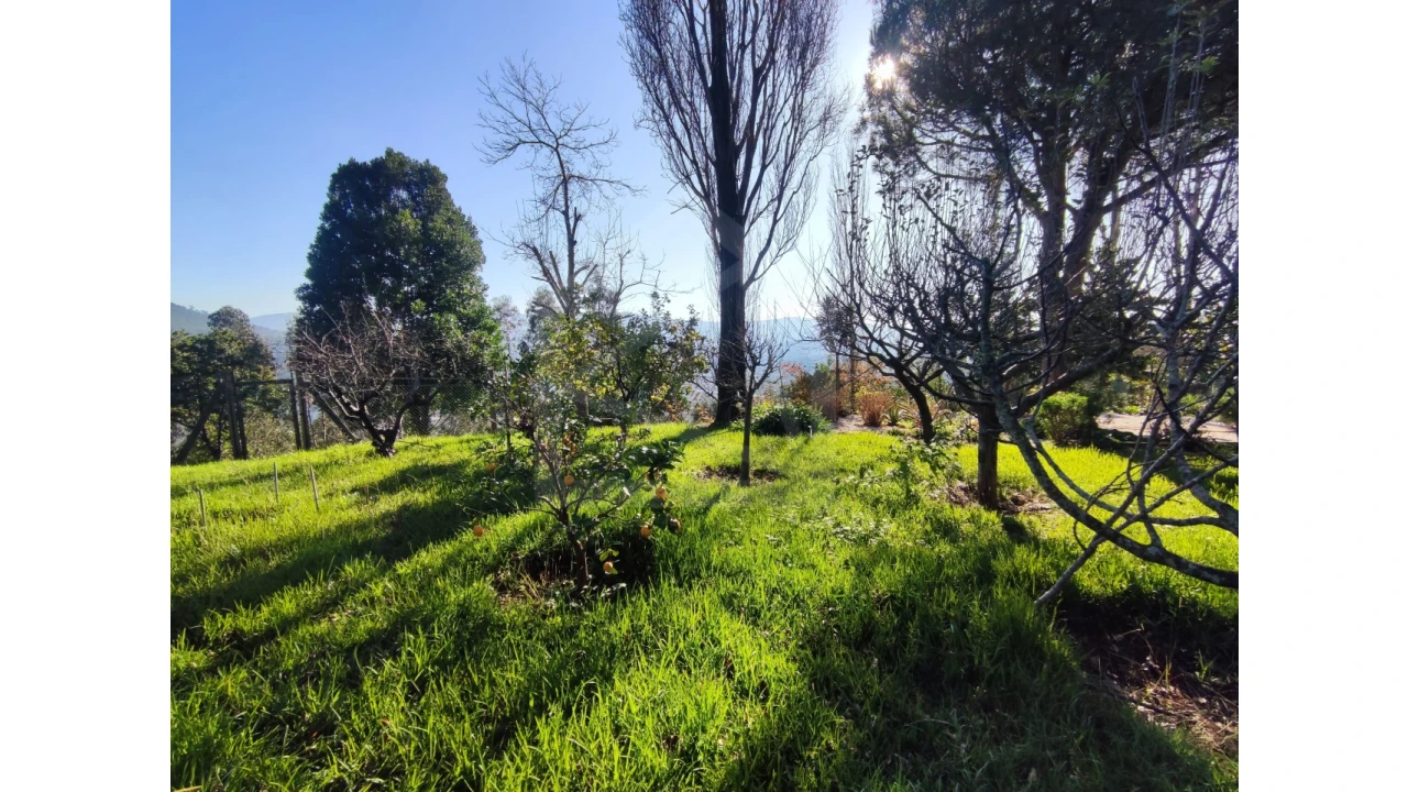 Moradia T3 para Venda em Ossela Foto 62