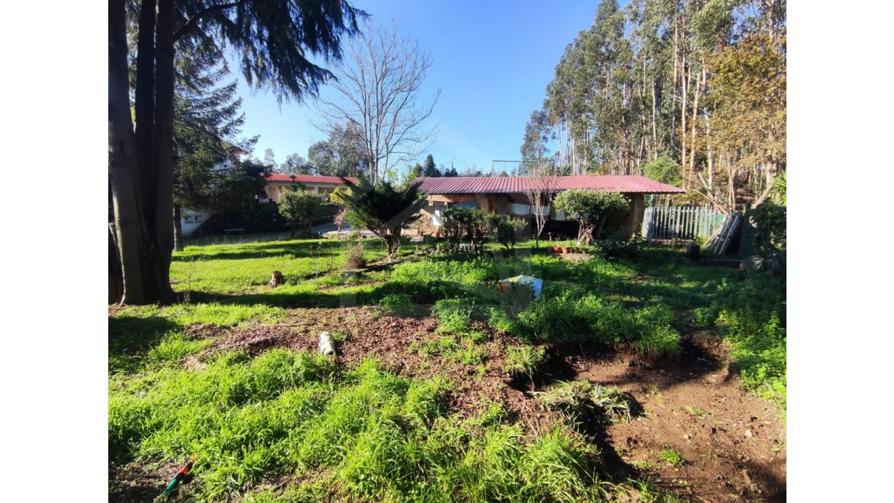 Moradia T3 para Venda em Ossela Foto 64