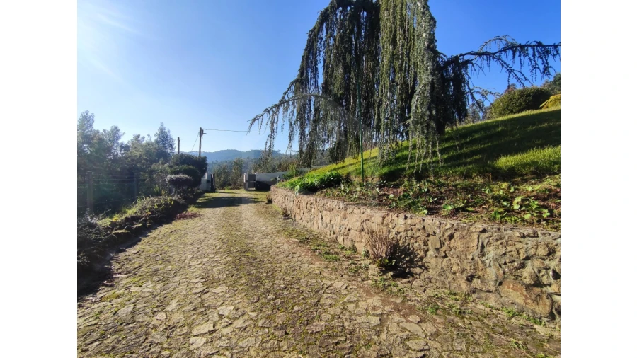 Moradia T3 para Venda em Ossela Foto 49