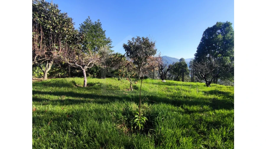 Moradia T3 para Venda em Ossela Foto 58