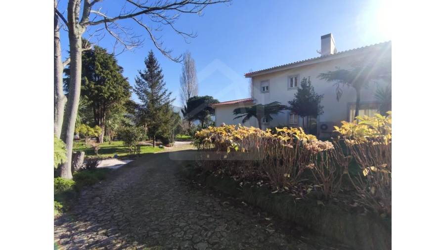 Moradia T3 para Venda em Ossela Foto 68