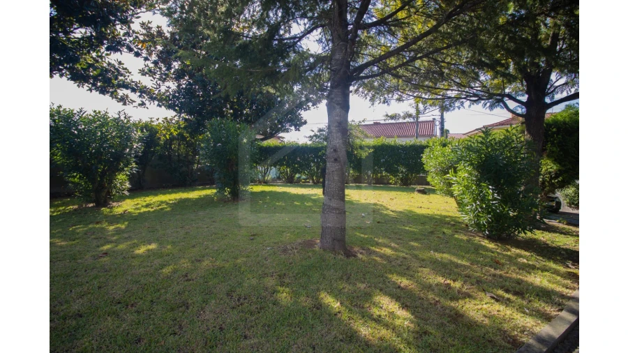 Moradia T7 para Venda em Vila de Cucujães Foto 4