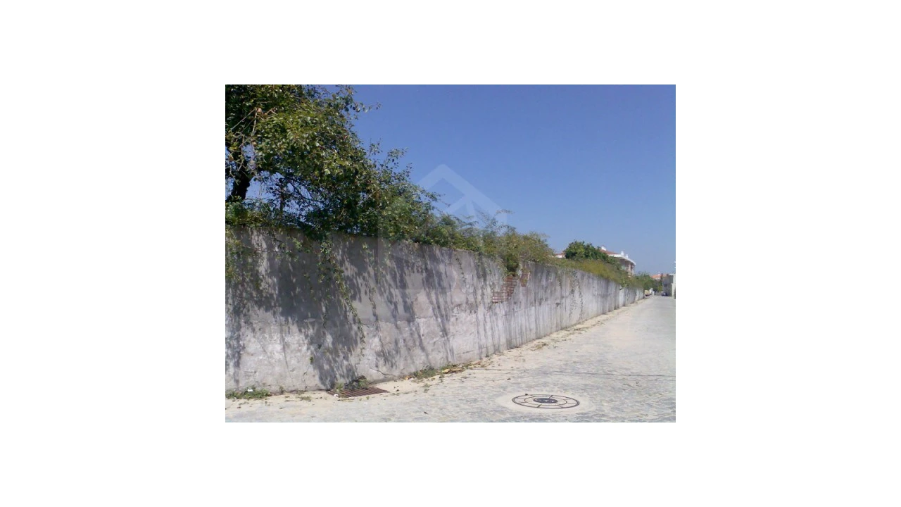 Terreno para Venda em Ovar, São João, Arada e São Vicente de Pereira Jusã Foto 3
