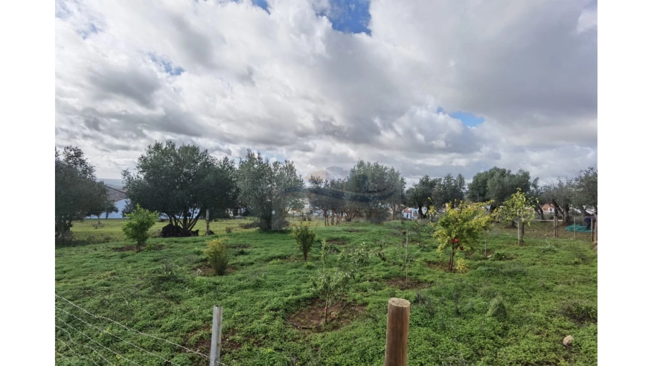 Terreno para Venda em Nossa Senhora da Conceição, São Brás dos Matos, Juromenha Foto 9