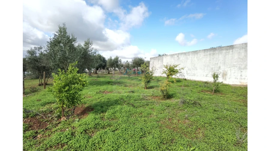 Terreno para Venda em Nossa Senhora da Conceição, São Brás dos Matos, Juromenha Foto 7