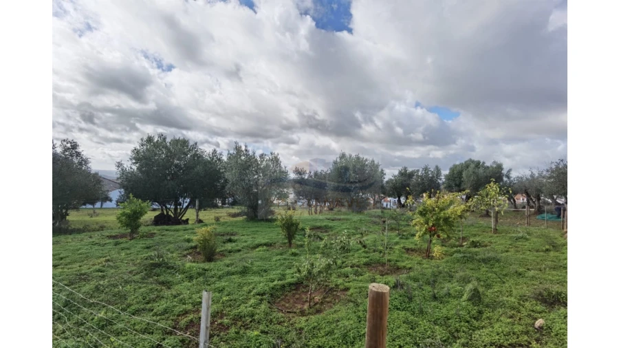 Terreno para Venda em Nossa Senhora da Conceição, São Brás dos Matos, Juromenha Foto 9