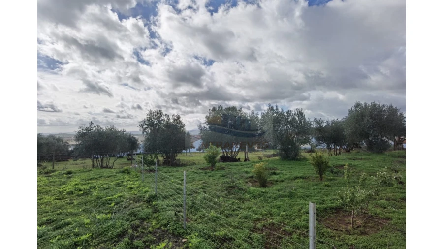 Terreno para Venda em Nossa Senhora da Conceição, São Brás dos Matos, Juromenha Foto 11