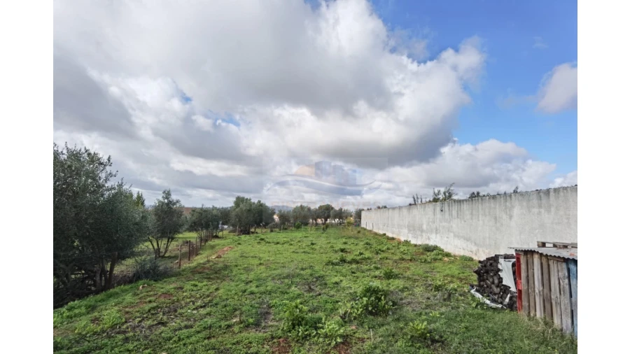 Terreno para Venda em Nossa Senhora da Conceição, São Brás dos Matos, Juromenha Foto 15